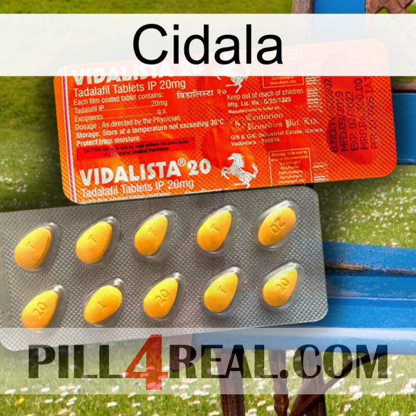 Cidala new01.jpg